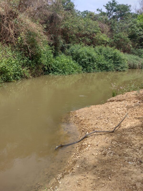 NO NORTE DE MINAS, HOMEM SAI PARA PESCAR E MORRE AFOGADO