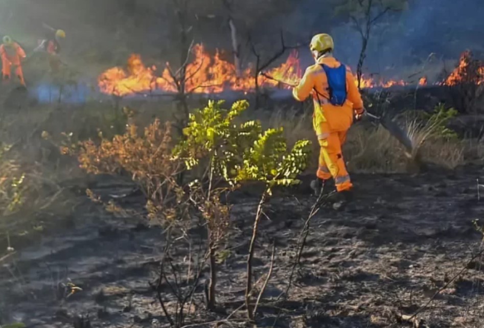 AUTORIDADES INTENSIFICAM O COMBATE A CRIMES AMBIENTAIS COM PRISÕES E MULTAS