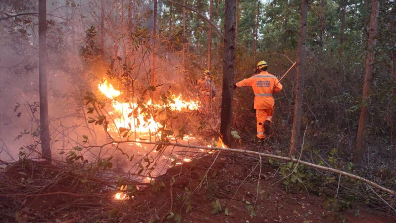 FOGO DESTROI MAIS DE 100 HECTARES DE CERRADO EM UM MUNICÍPIO DO NORTE DE MINAS